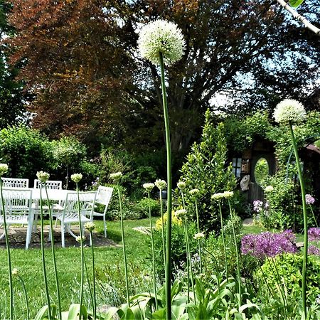 Le Jardin Des Miroirs Bed & Breakfast Esneux Dış mekan fotoğraf