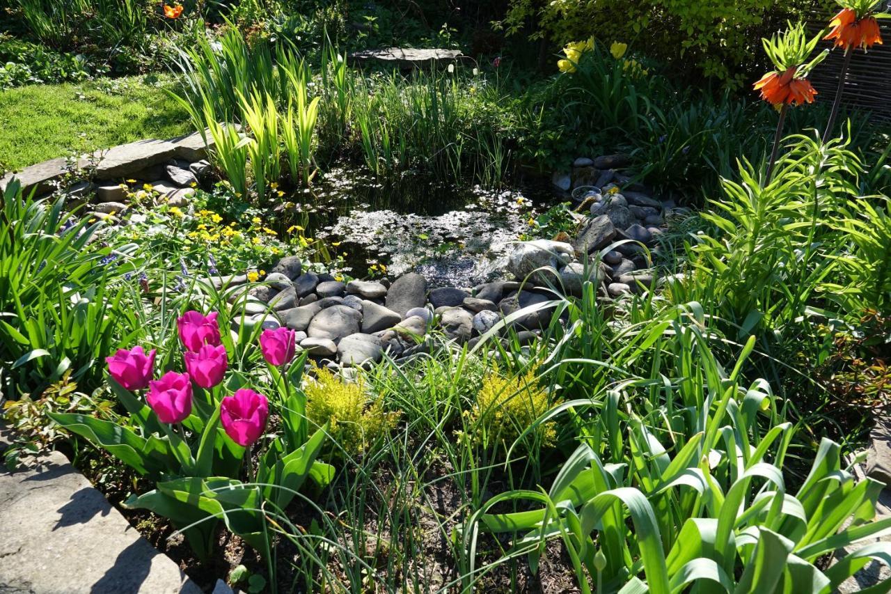 Le Jardin Des Miroirs Bed & Breakfast Esneux Dış mekan fotoğraf