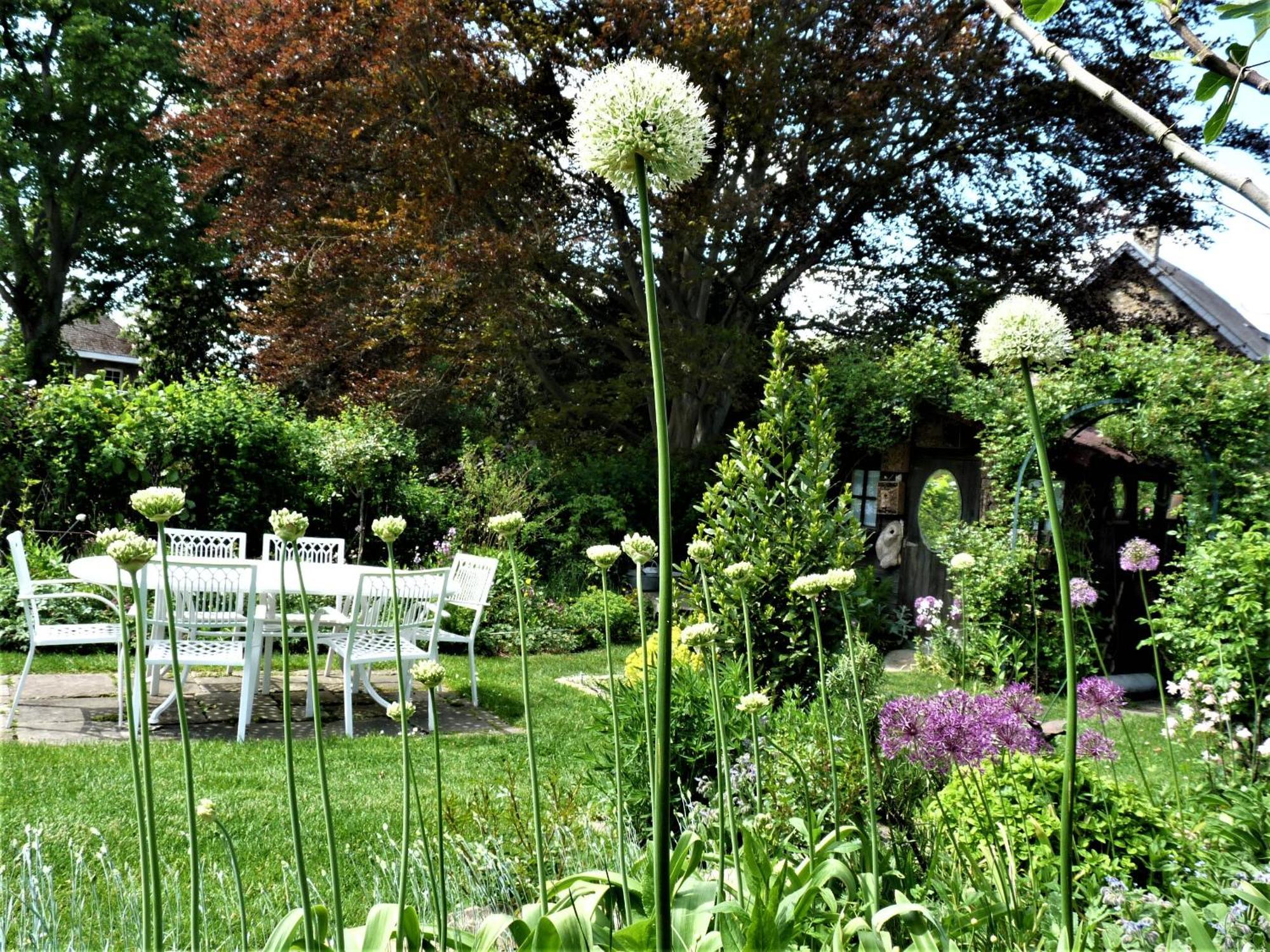 Le Jardin Des Miroirs Bed & Breakfast Esneux Dış mekan fotoğraf