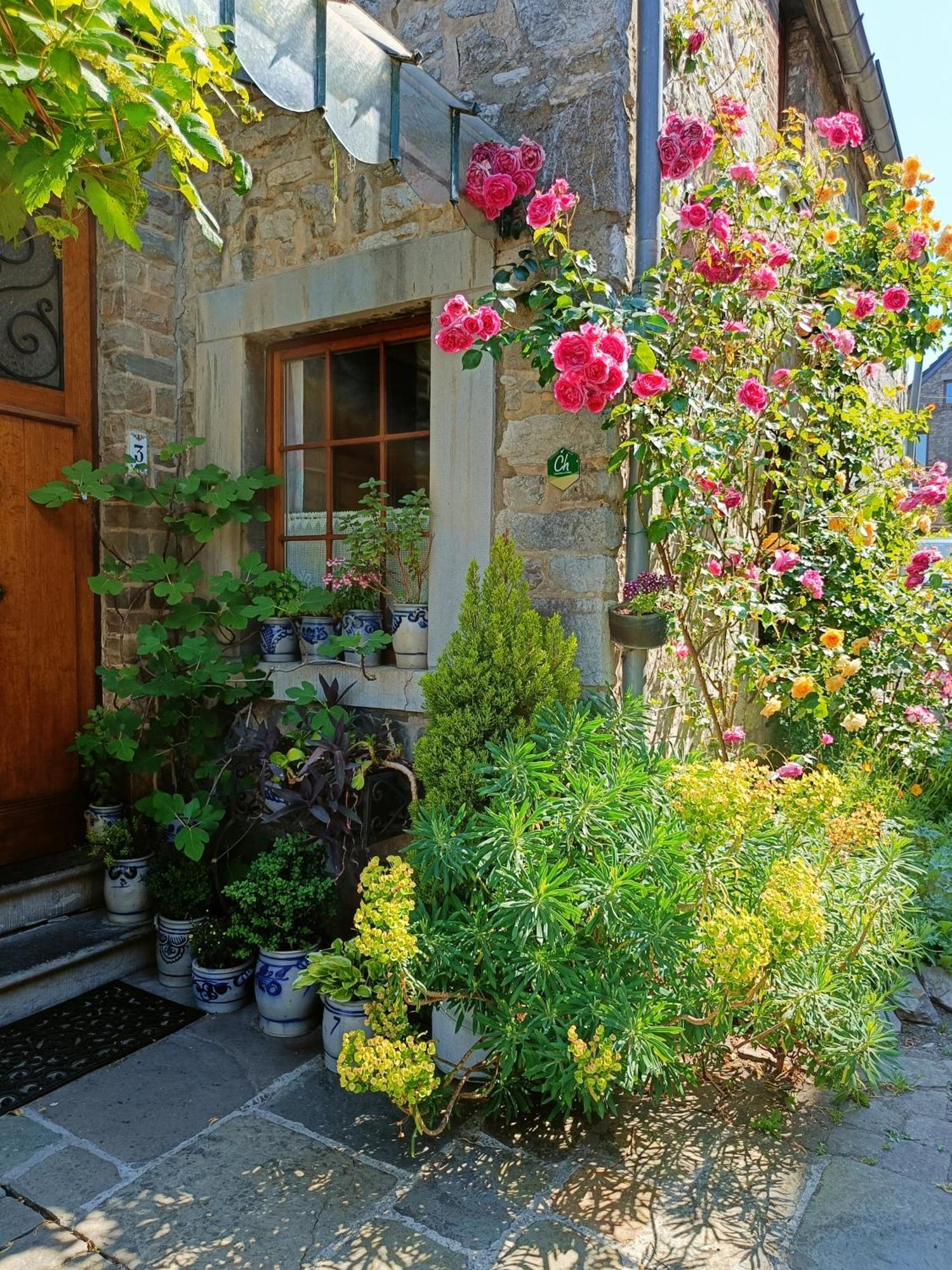Le Jardin Des Miroirs Bed & Breakfast Esneux Dış mekan fotoğraf
